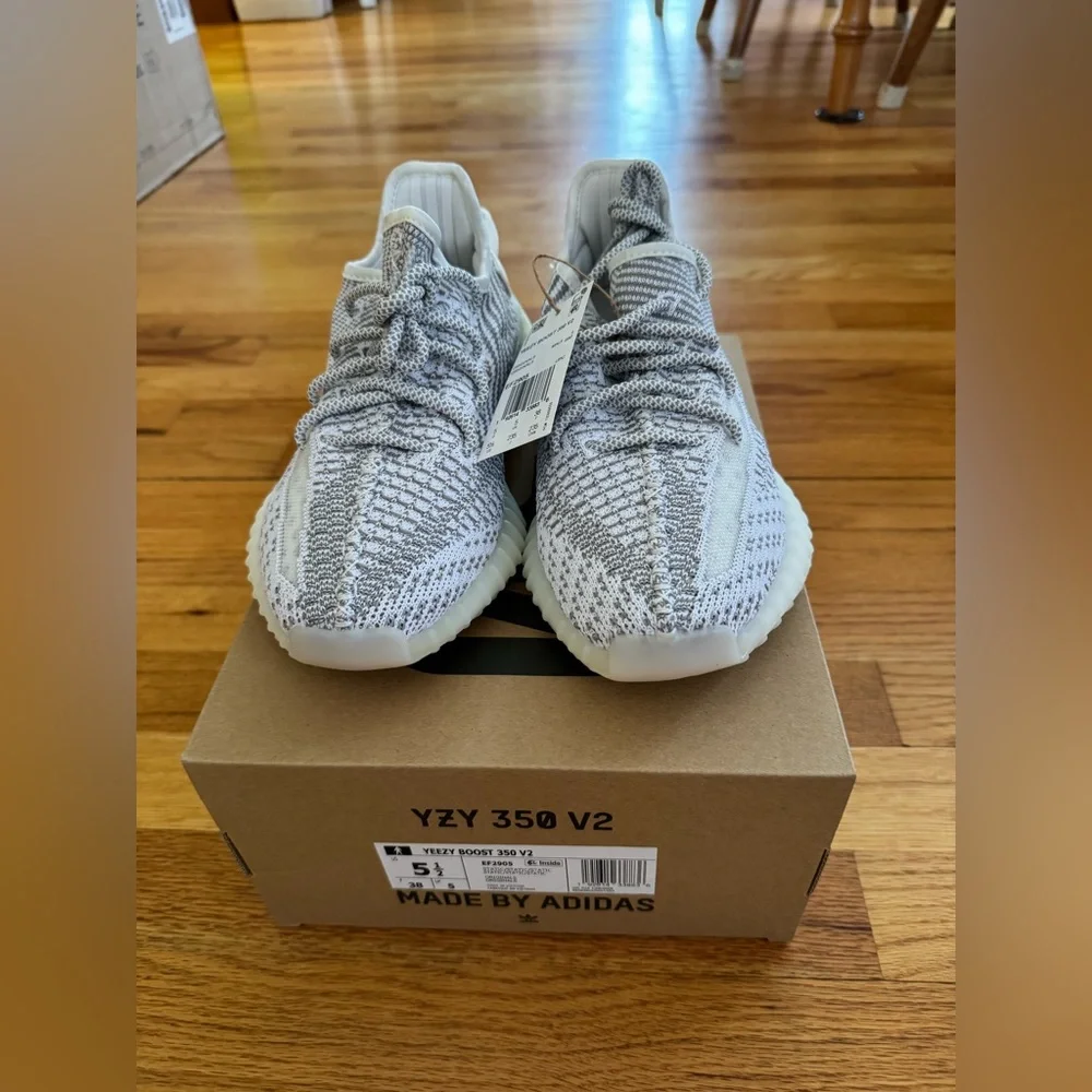 Adidas Yeezy Boost 350 V2